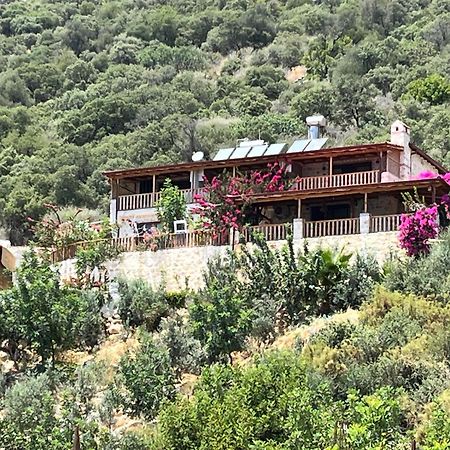 Istlada Tas Ev Apart - Kekova View Kapaklı Exterior foto